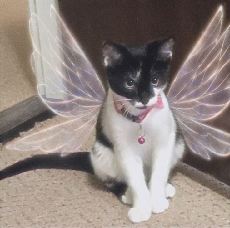 Angel Stuff