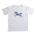 Cabalo Azul